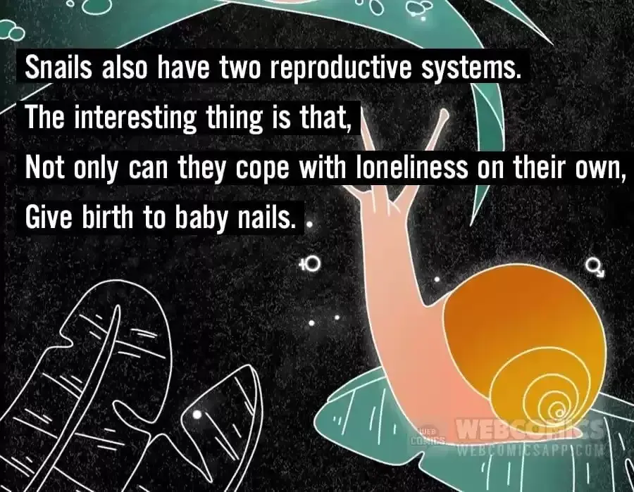 Fun Facts You Don