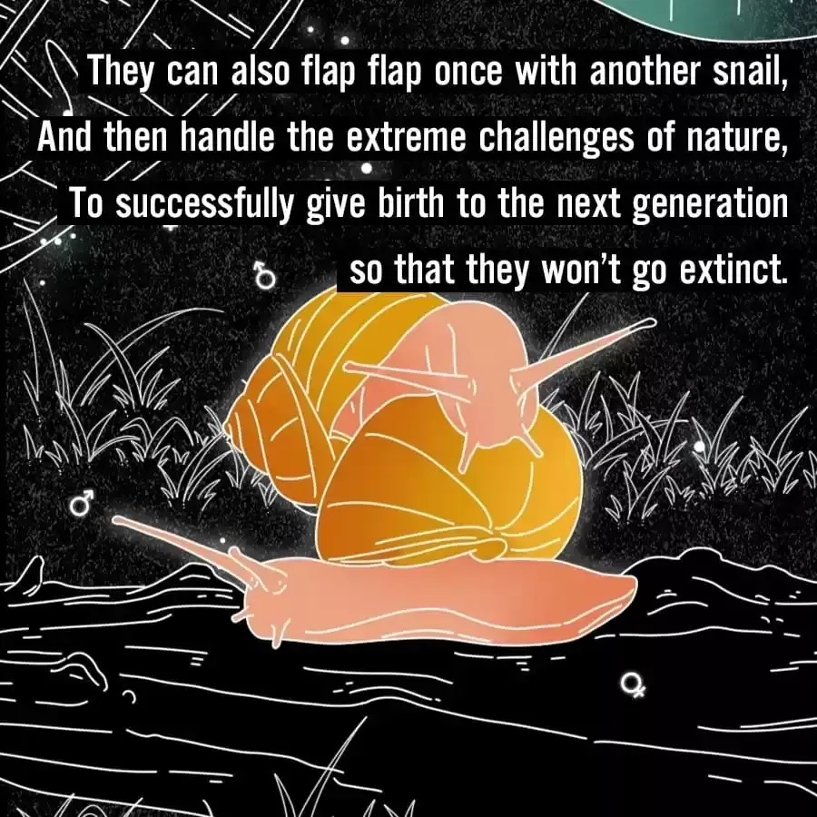 Fun Facts You Don