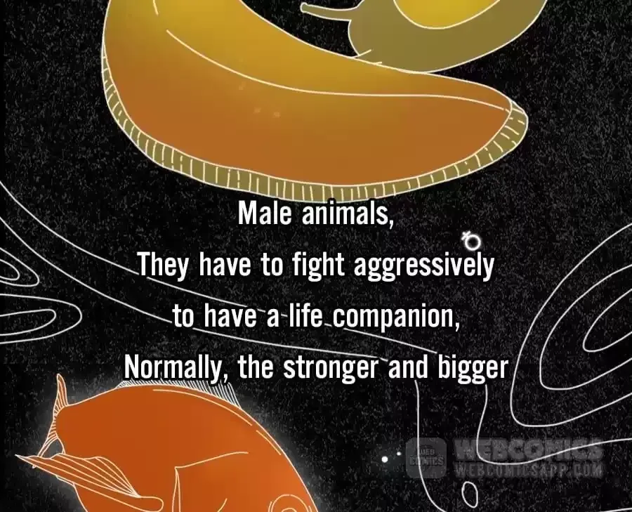 Fun Facts You Don