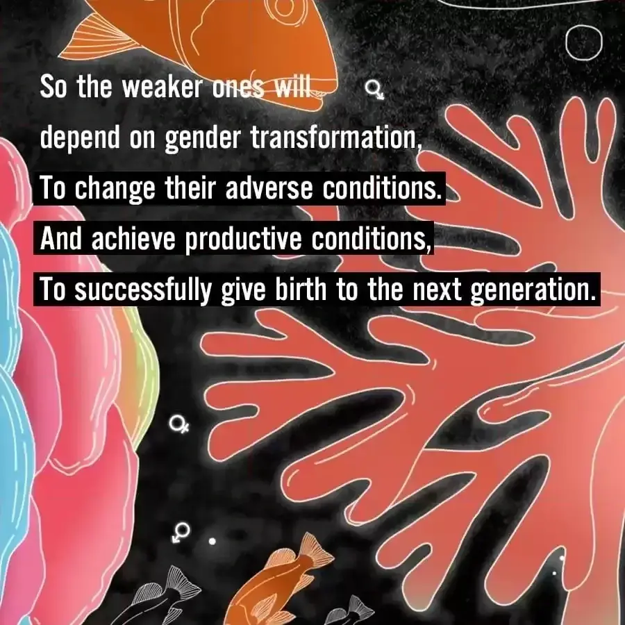 Fun Facts You Don