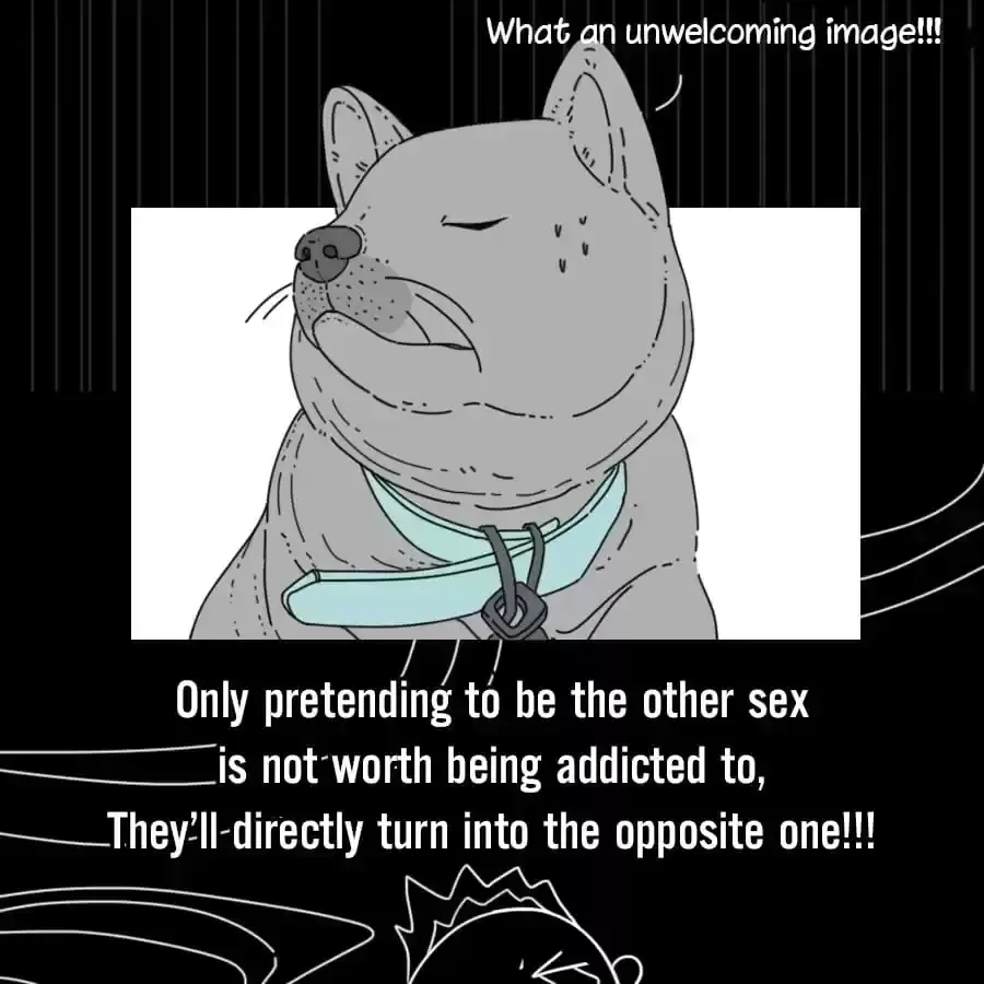 Fun Facts You Don