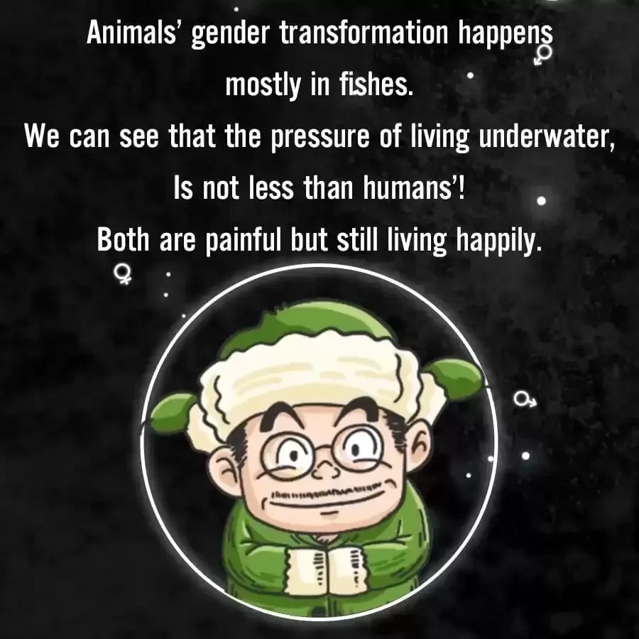Fun Facts You Don