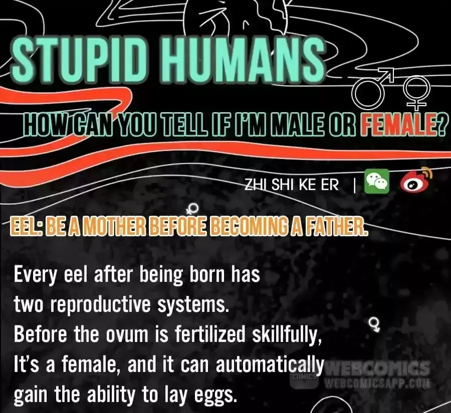 Fun Facts You Don