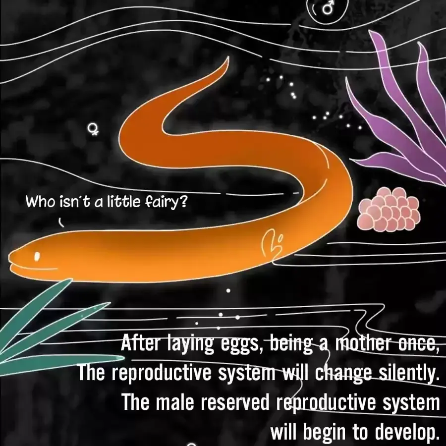 Fun Facts You Don