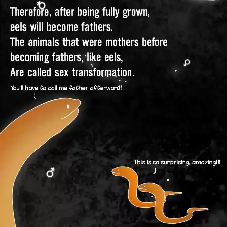 Fun Facts You Don