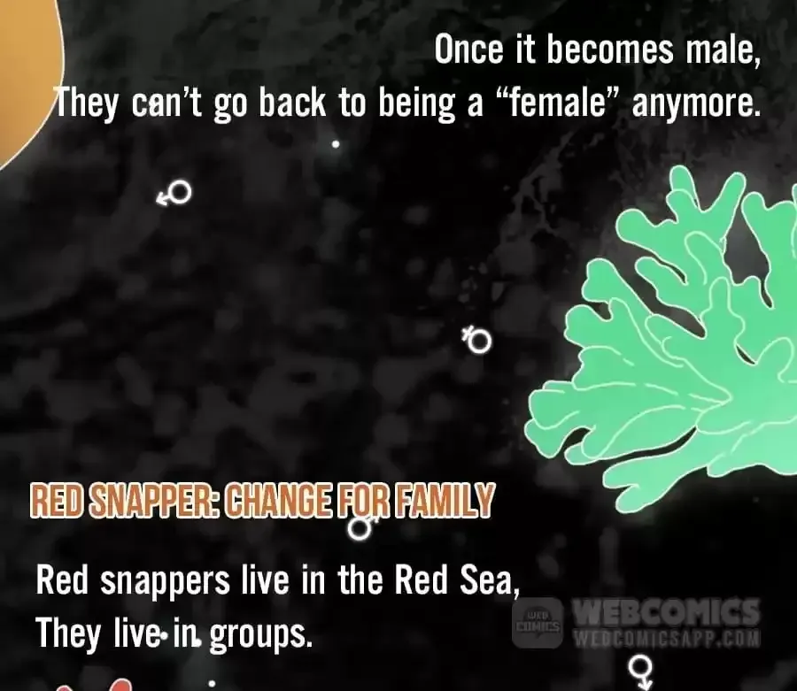 Fun Facts You Don