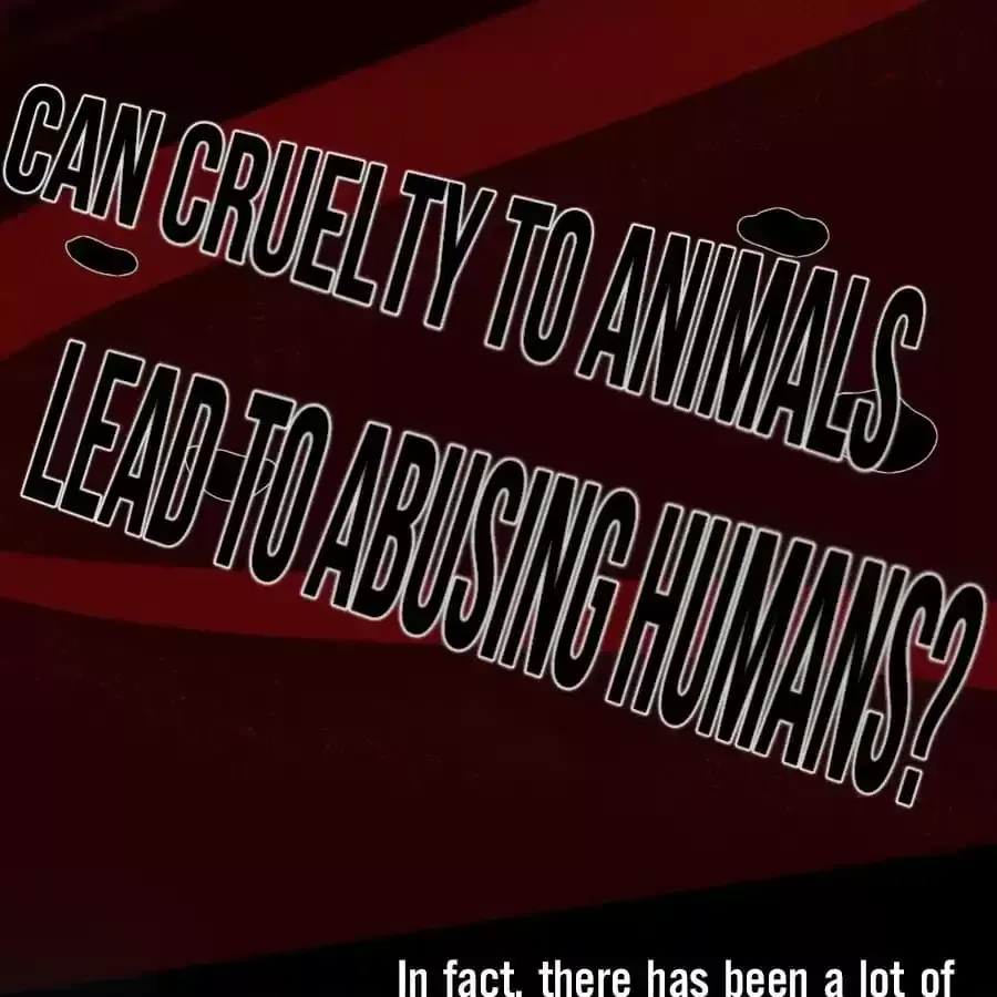 Fun Facts You Don