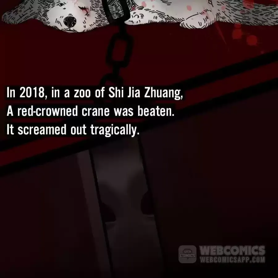 Fun Facts You Don