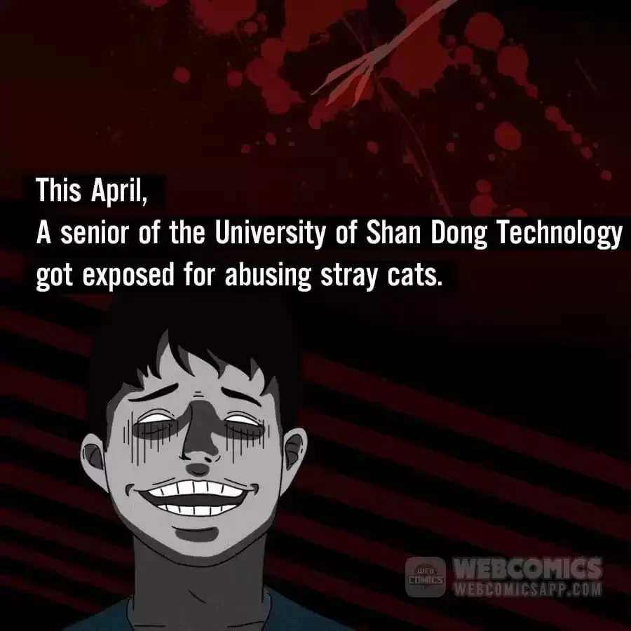 Fun Facts You Don