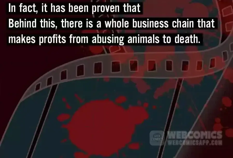 Fun Facts You Don