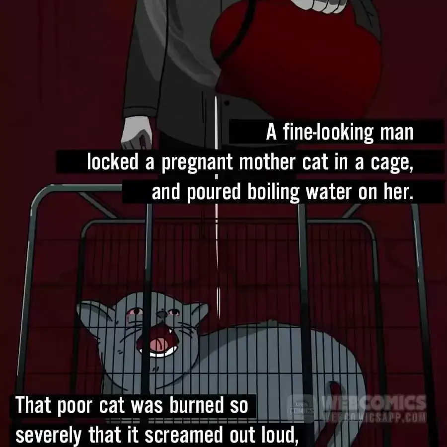 Fun Facts You Don