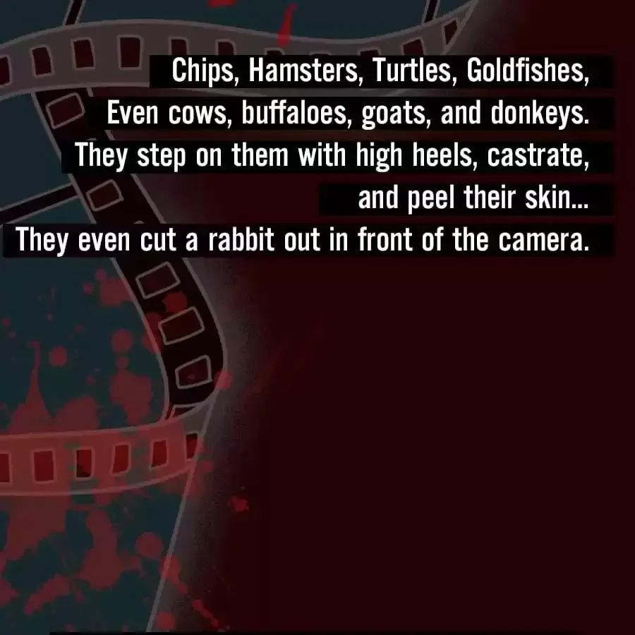Fun Facts You Don