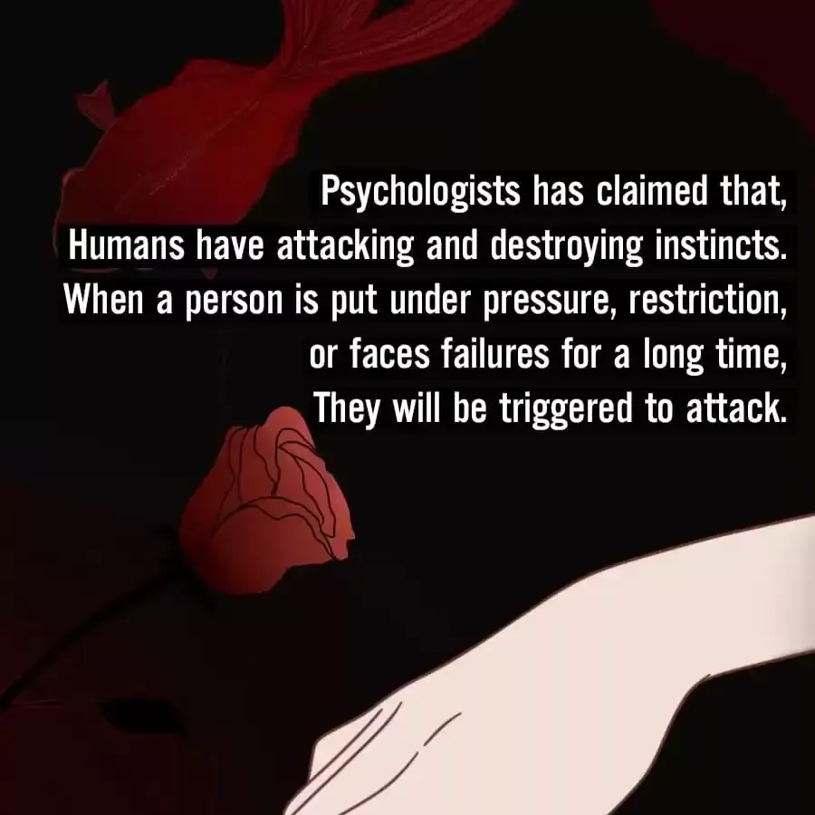 Fun Facts You Don
