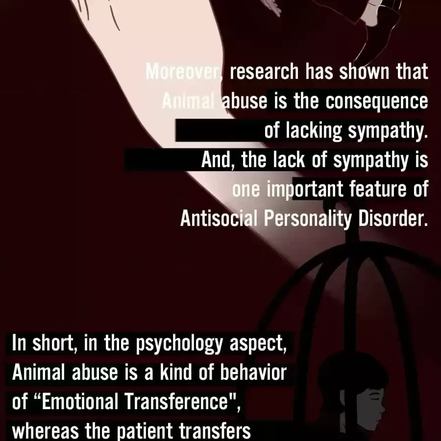 Fun Facts You Don