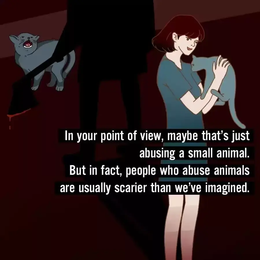 Fun Facts You Don