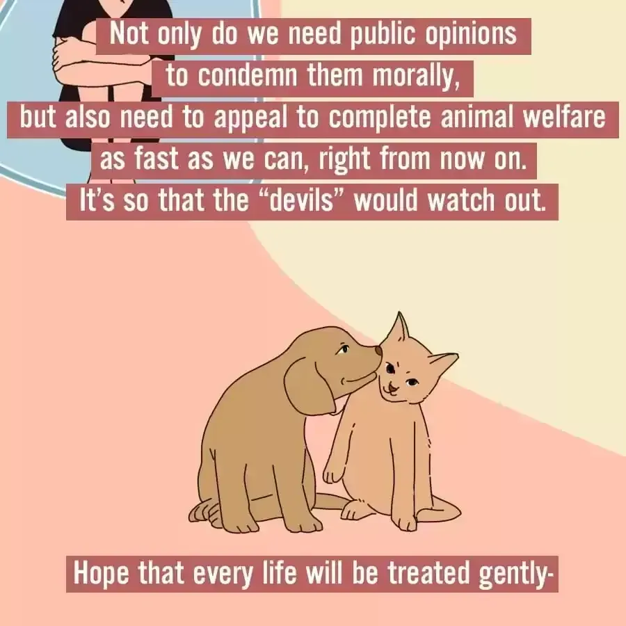 Fun Facts You Don