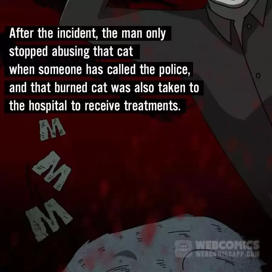Fun Facts You Don