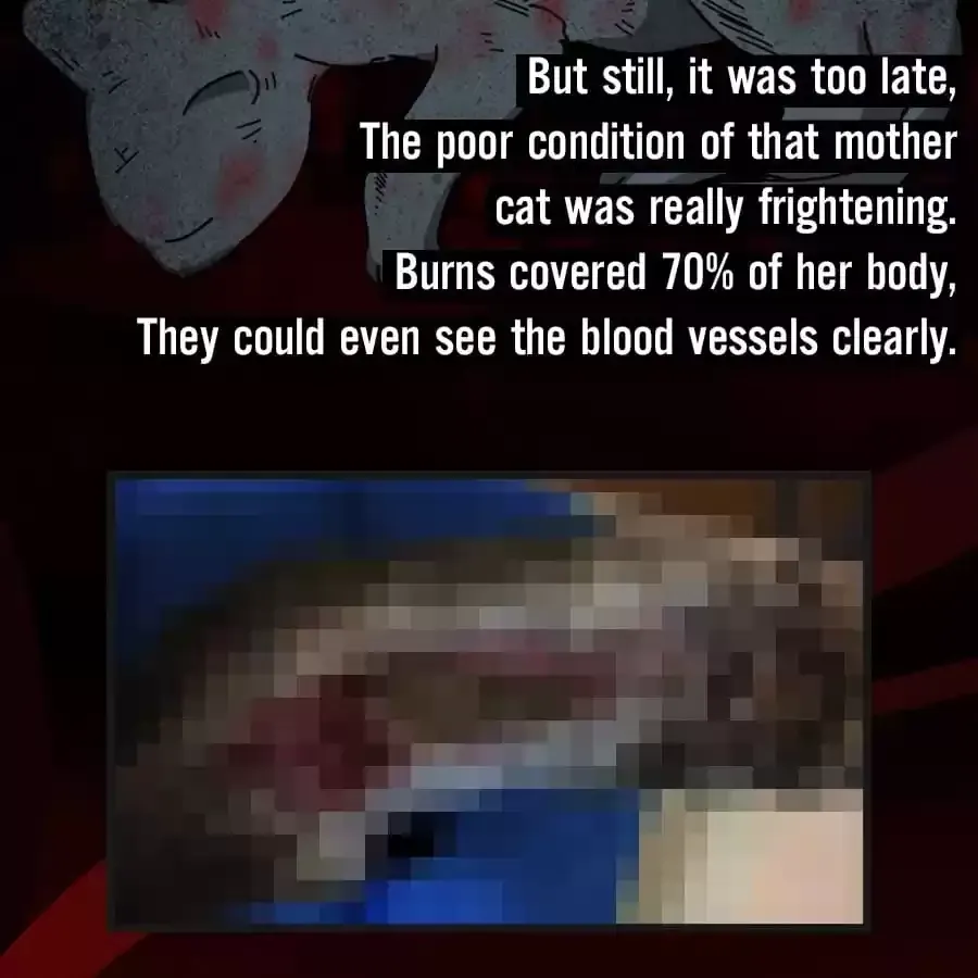 Fun Facts You Don