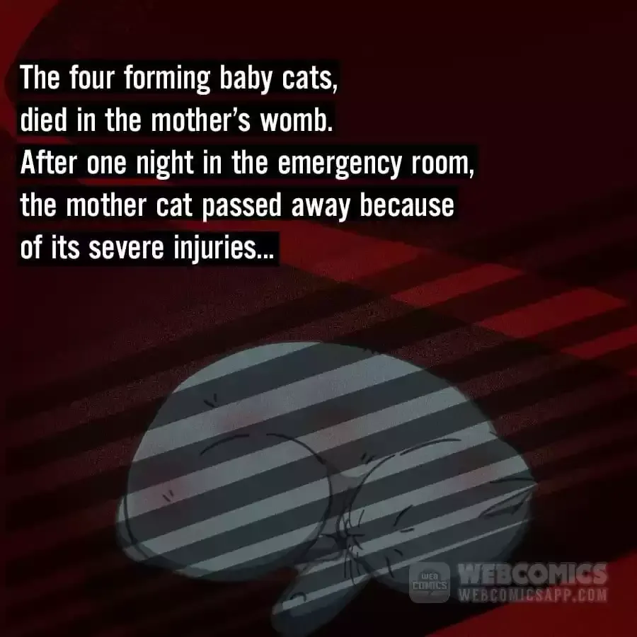 Fun Facts You Don