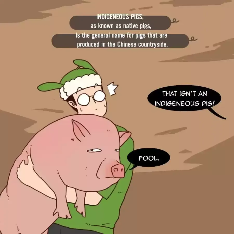 Fun Facts You Don