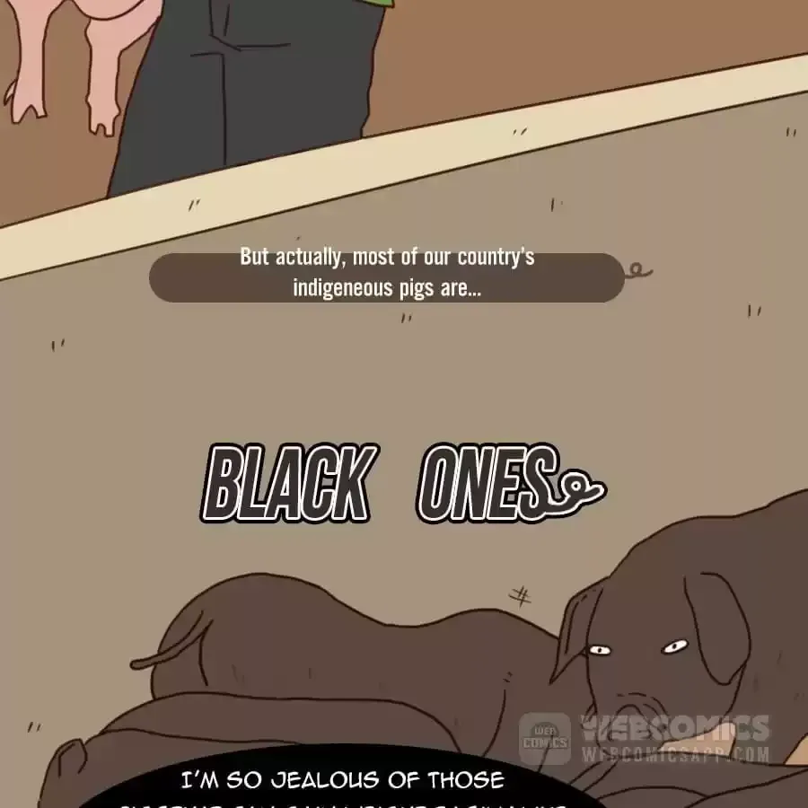 Fun Facts You Don