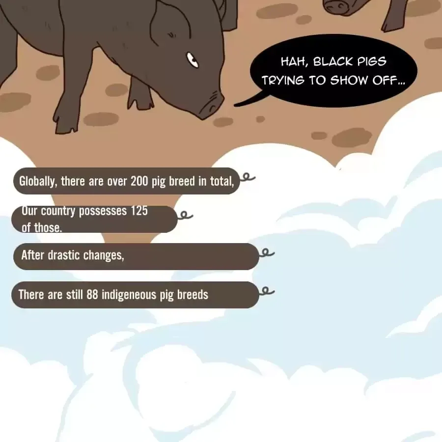 Fun Facts You Don