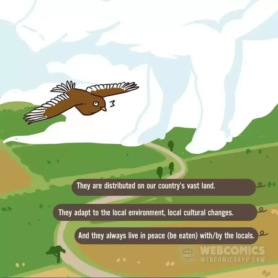 Fun Facts You Don