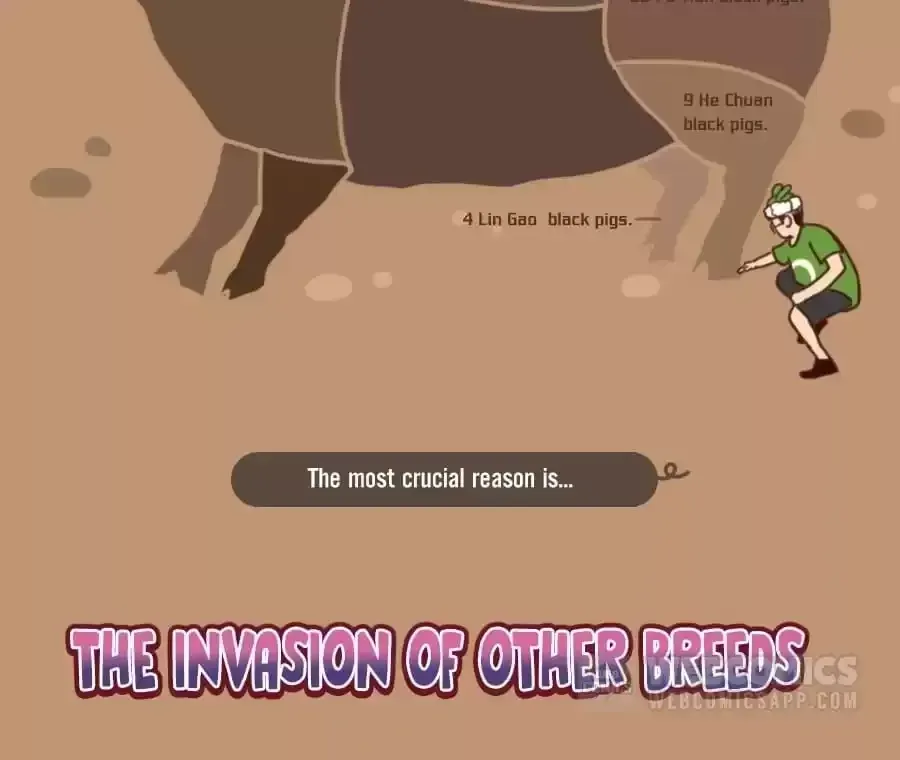 Fun Facts You Don