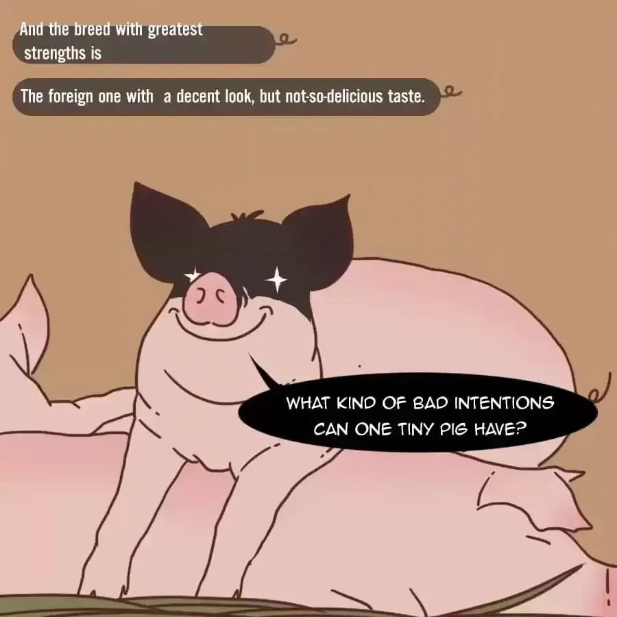 Fun Facts You Don
