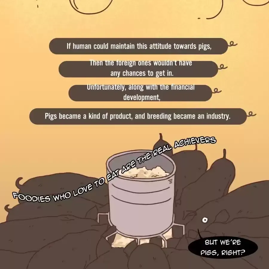 Fun Facts You Don