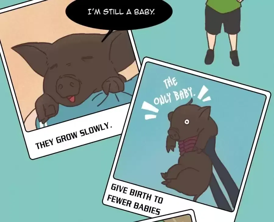 Fun Facts You Don