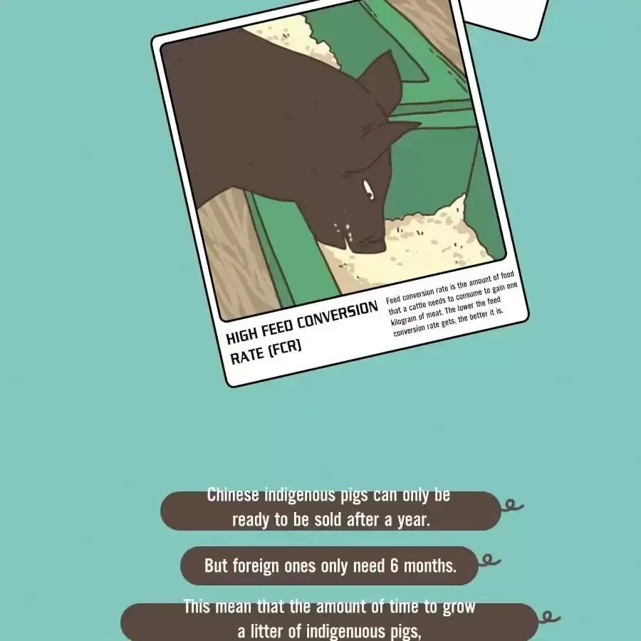 Fun Facts You Don