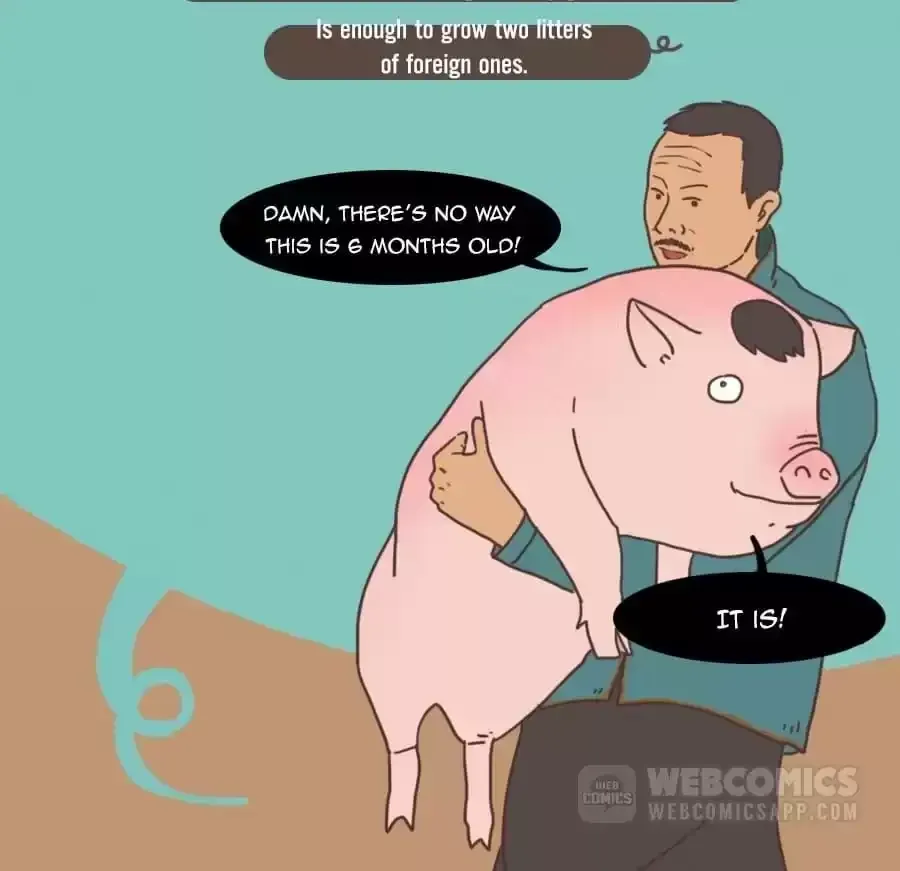 Fun Facts You Don