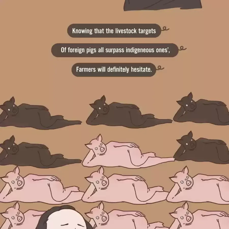 Fun Facts You Don
