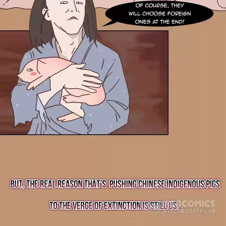 Fun Facts You Don