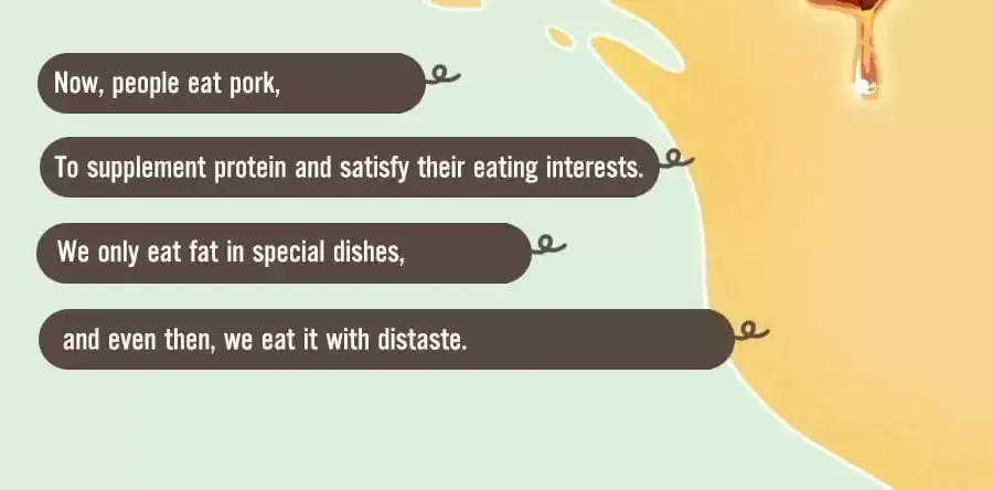 Fun Facts You Don