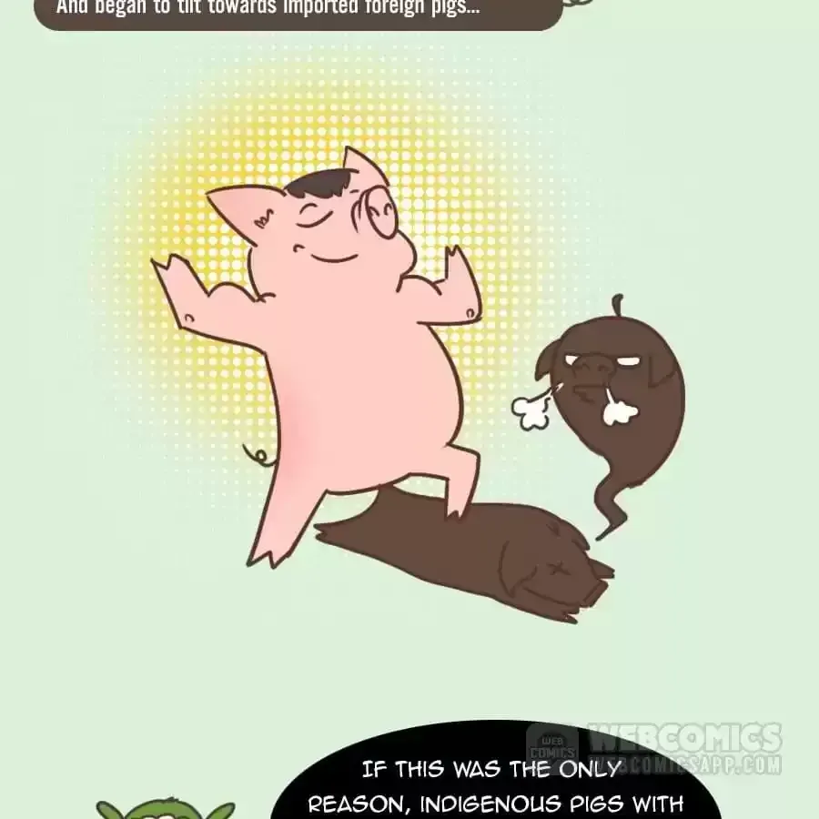 Fun Facts You Don