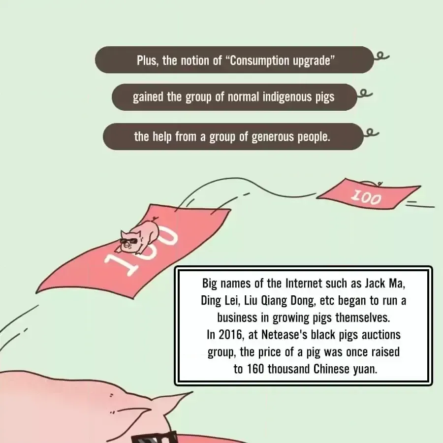 Fun Facts You Don