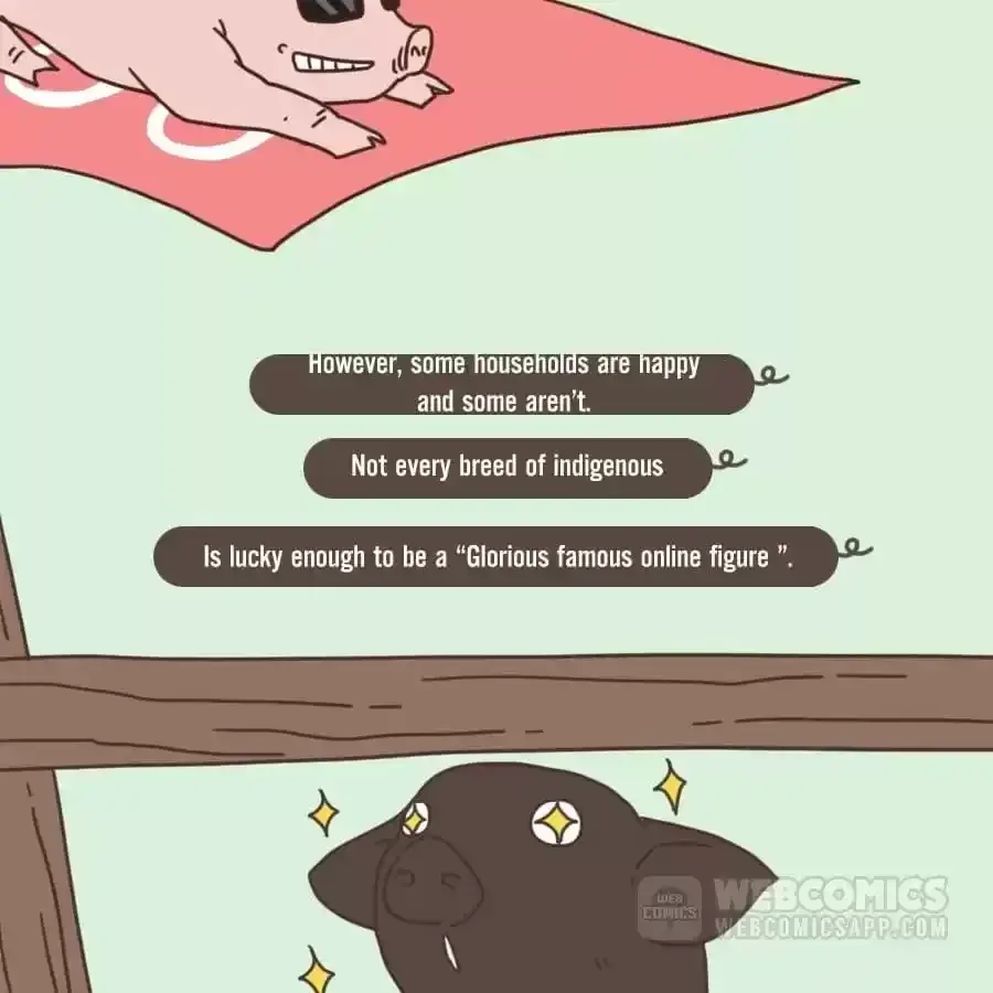 Fun Facts You Don