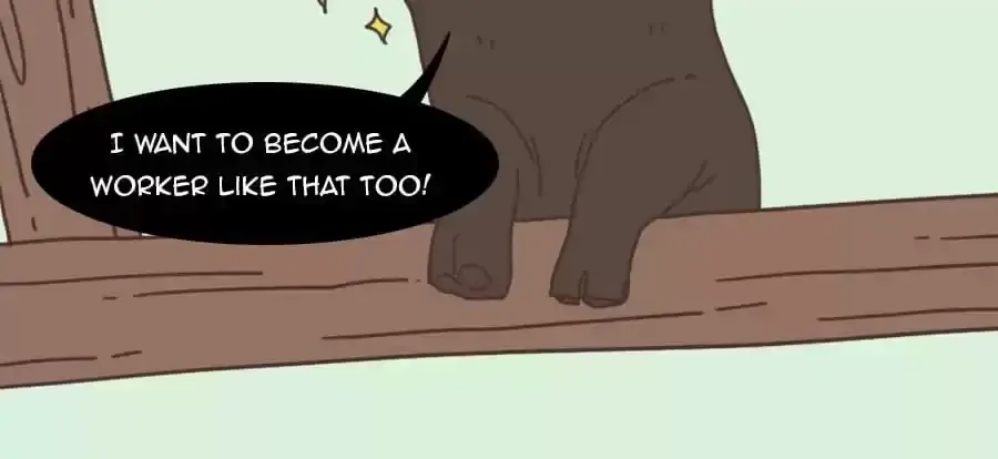 Fun Facts You Don