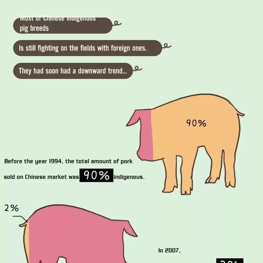 Fun Facts You Don