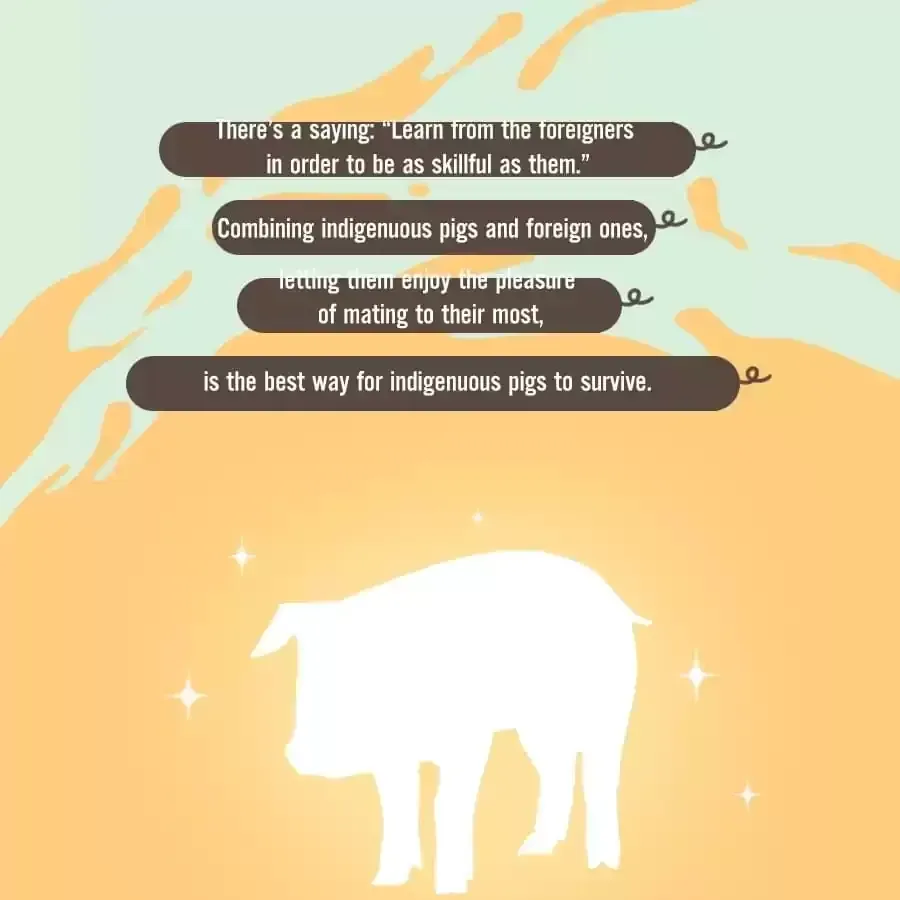 Fun Facts You Don