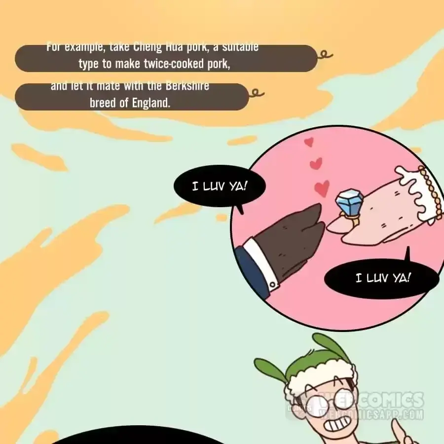 Fun Facts You Don