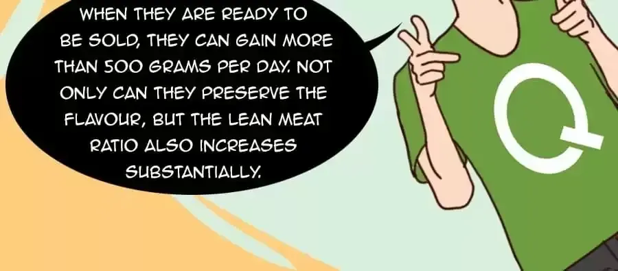 Fun Facts You Don