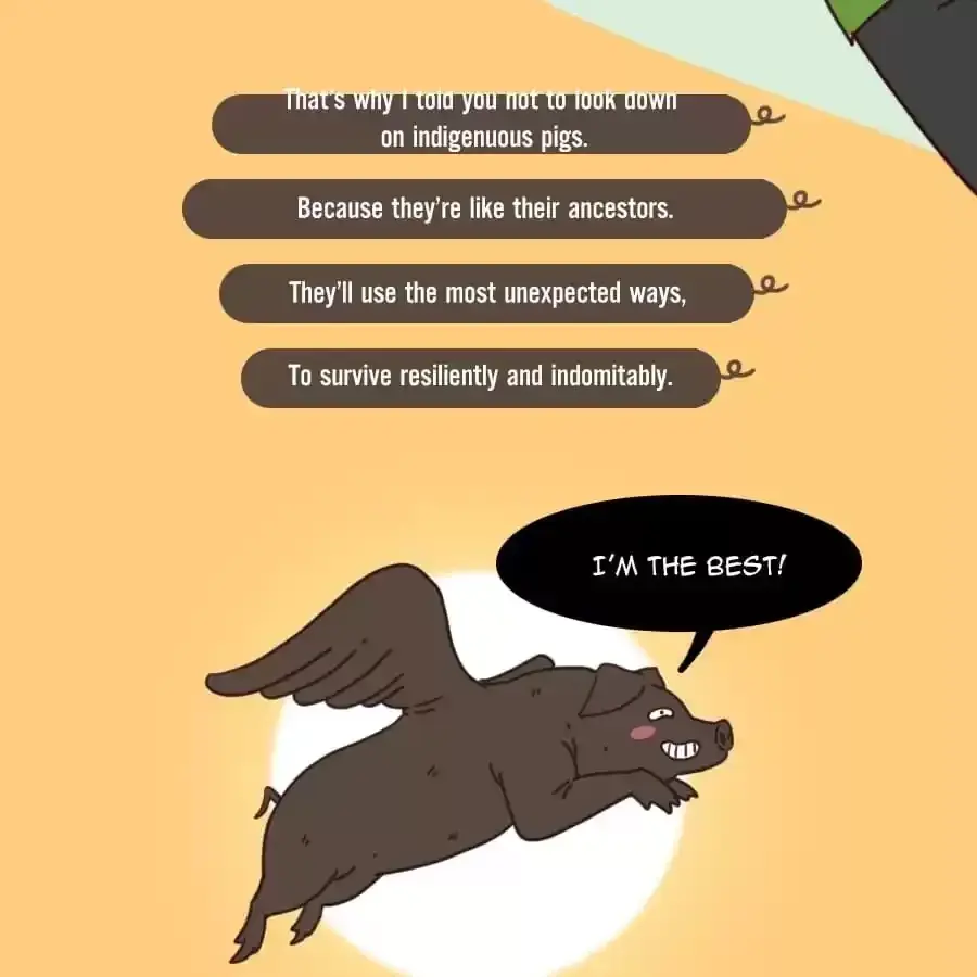 Fun Facts You Don