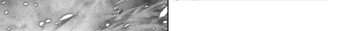 Game of Familia: Kazoku Senki Chapter 46 page 28 - 