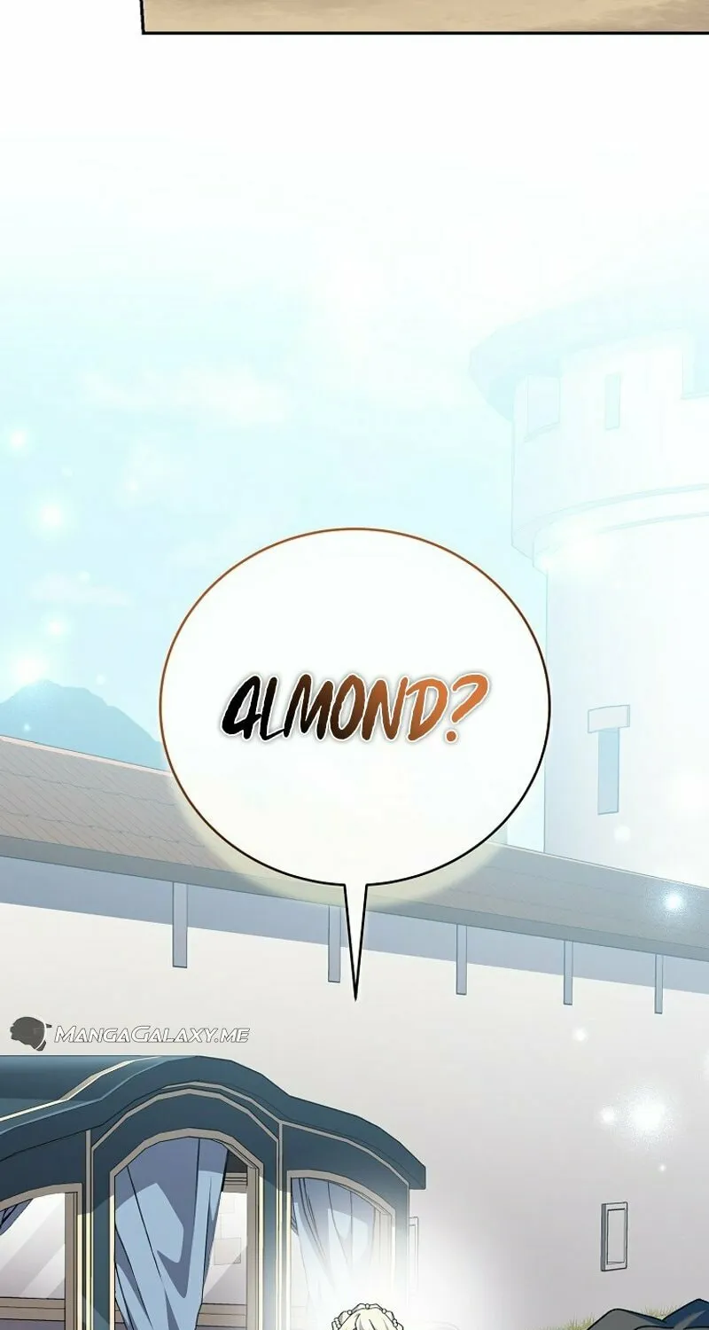 Genius Archer