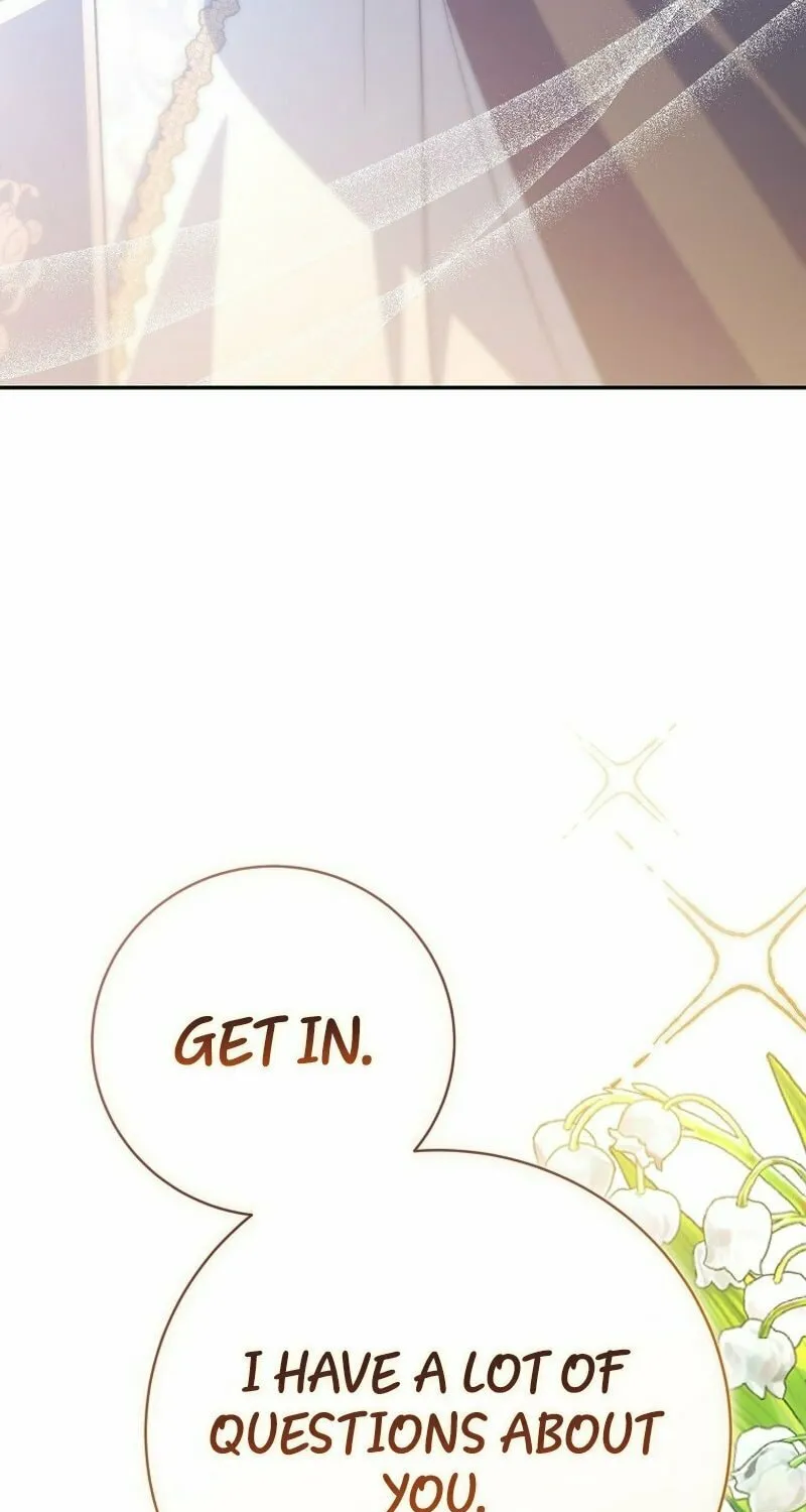 Genius Archer