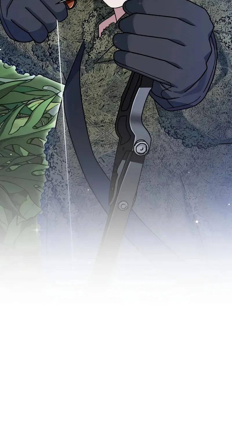 Genius Archer