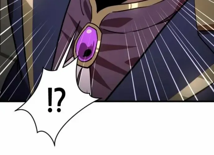 Genius Mage Who Uses Fists Chapter 16 page 47 - 